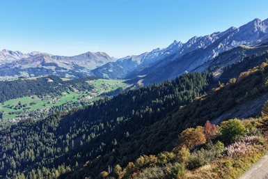 Image category