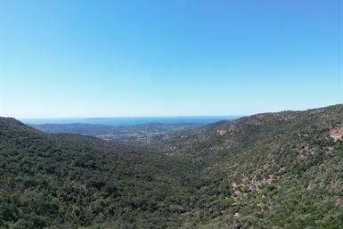 Image category