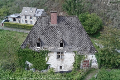 Image category