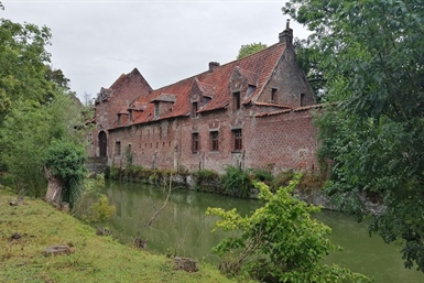 Image category