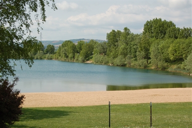 Image category