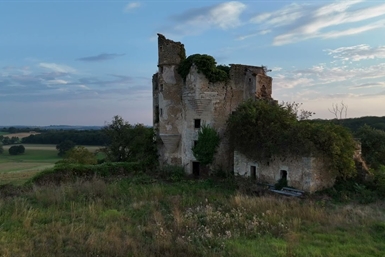 Image category