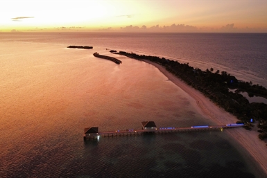 Image category