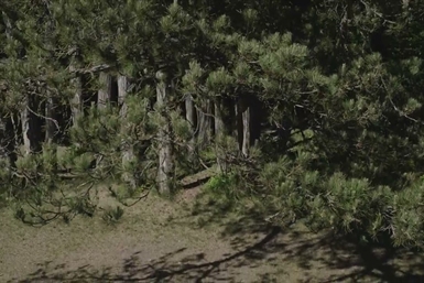 Spot où faire voler son droneSpot pour faire voler son drone