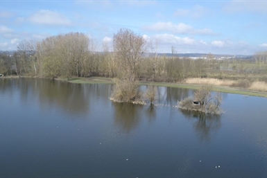 Image category