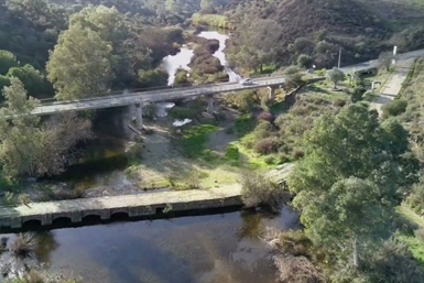 Image category