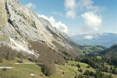 Image category