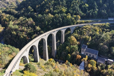 Image category