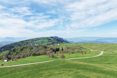 Image category