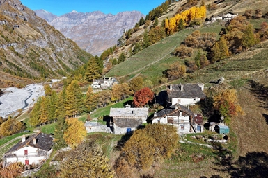 Image category