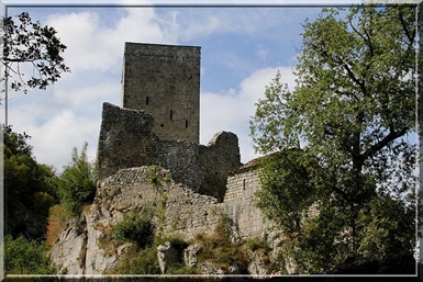Image category