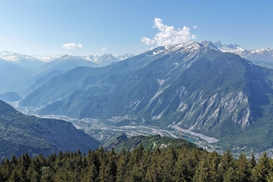 Image category