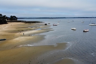 Image category