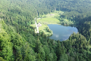 Image category