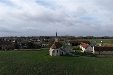 Image category
