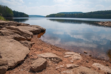 Image category