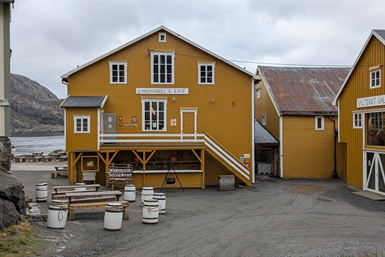 Image category