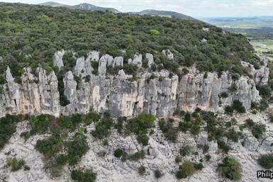 Image category