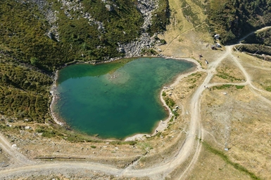 Image category