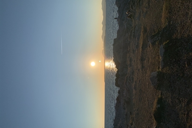 Image category