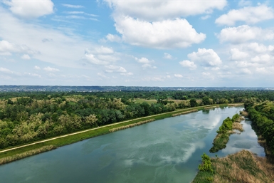 Image category