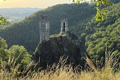 Image category