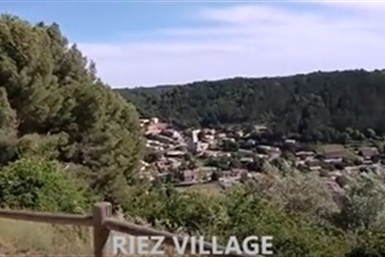 Image category