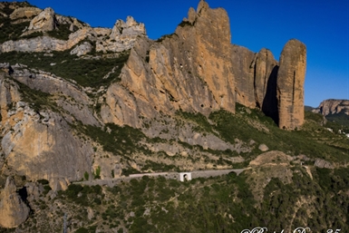 Image category