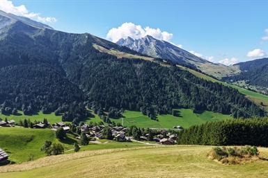 Image category