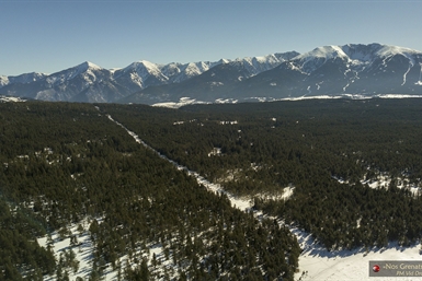 Image category