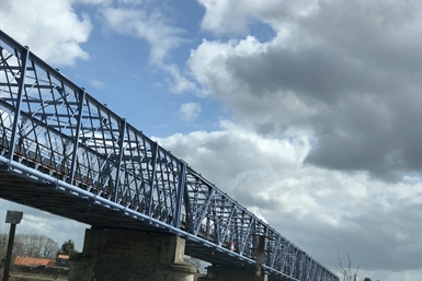 Image category