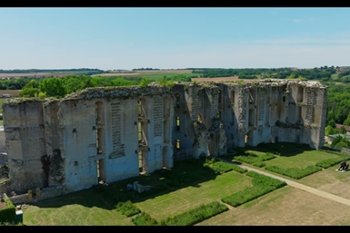 Image category
