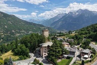 Image category