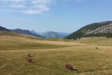 Spot où faire voler son droneSpot pour faire voler son drone