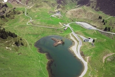 Image category