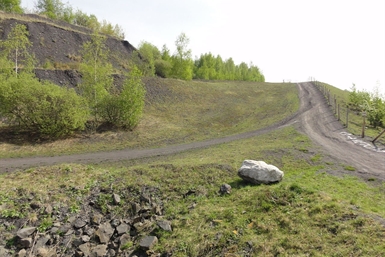 Image category