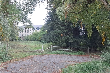 Image category