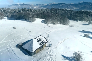 Image category