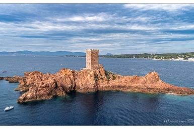Image category