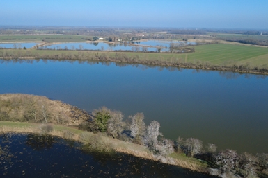 Image category