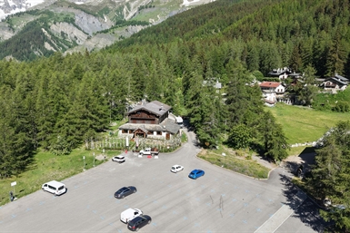 Image category