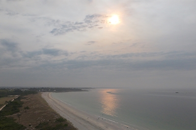 Image category