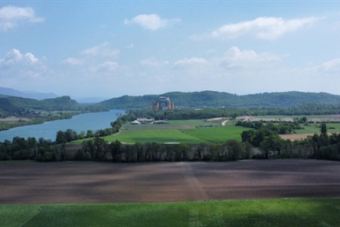 Image category