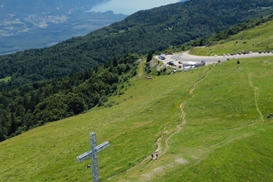 Image category