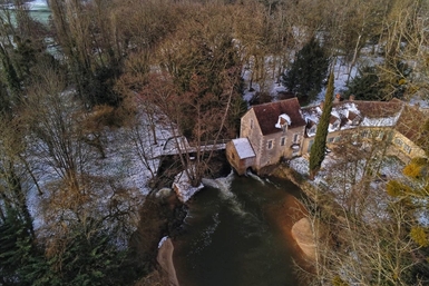 Image category