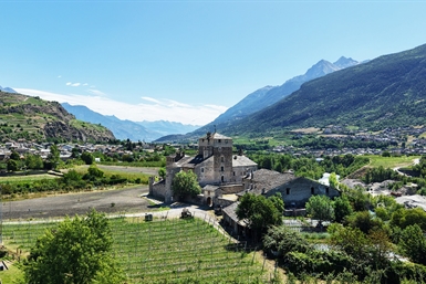 Image category