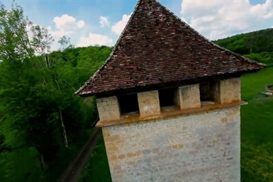 Image category