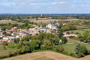 Image category