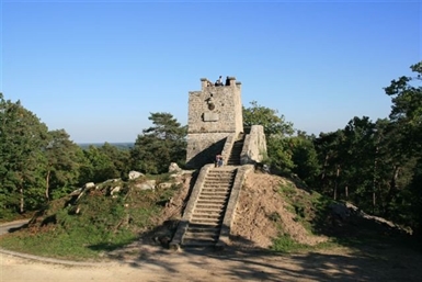 Image category