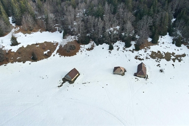 Image category